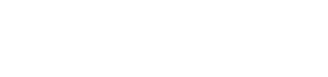 EU Logo